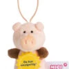 Nici Knuffelhanger Varken Uniek Junior 9,5 Cm Polyester Roze 2 Nici Knuffelhanger Varken Uniek Junior 9,5 Cm Polyester Roze -Nici nici hanger varken uniek junior polyester roze 906929 1620222076