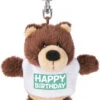 Nici Sleutelhanger Happy Birthday 10 Cm Polyester Bruin -Nici nici sleutelhanger happy birthday 10 cm polyester bruin 848304 1619451867